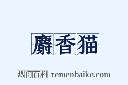 麝香猫是什么意思的图片